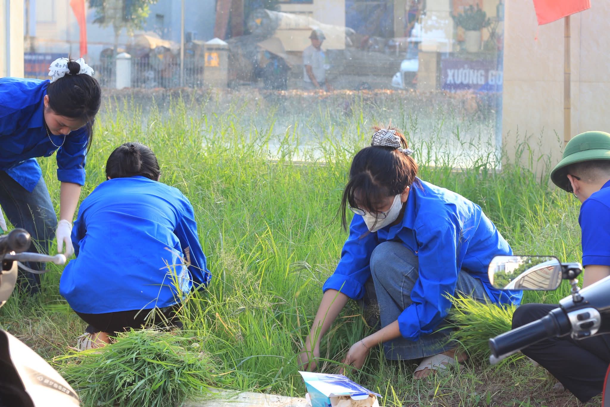 Đoàn trường THPT chuyên Nguyễn Trãi tham gia ra quân “Ngày Chủ nhật xanh” tại Đài tưởng niệm Liệt sĩ Tân Bình.